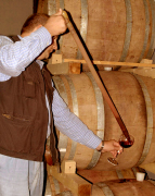Personal especializado como parte de la nuestra tradicion y tecnologia... Descubre el &nbsp;Gusto del vino Italiano con vinos tinto Primitivo Latias, Imperium Chardonnay, Negroamaro, Irenico Salice Salentino, Bocciolo Novello, Solice Rosato, Partemio Malvasia Bianca... Lomazzi & Sarli siembra, cosecha la uva propia en nuestro vi�edos ubicados en Latiano Brindisi (Puglia) con 108 hectareas (1.080.000 m2) y mas de 5000 - 6000 plantas de uva por hectarea... Cada estacion estudiamos y seleccionamos las mejores uvas para servir a la Distribucion Mundial de Vinos de Alta Calidad