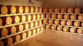 Almacenamiento perfecto para preservar la original calidad de nuestras uvas... La presentacion de nuestra coleccion de vinos esta estudiada para resaltar la Calidad de Nuestros VINOS... somos una empresa de Brindisi en el Salento Italia y seleccionamos las mejores uvas de nuestra produccion para nuestros vinos Lomazzi & Sarli ahora con nueva tecnologia para ayudar los distribuidores de vinos en el mundo... Descubre el &nbsp;Gusto del vino Italiano con vinos tinto Primitivo Latias, Imperium Chardonnay, Negroamaro, Irenico Salice Salentino, Bocciolo Novello, Solice Rosato, Partemio Malvasia Bianca...